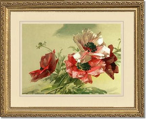 Poppies | Victorian Wall Art Print