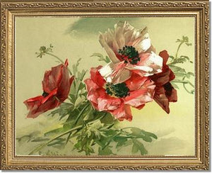 Victorian Print: Poppies