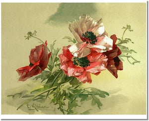 Victorian Print: Poppies