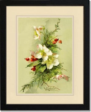 Christmas Rose Vintage Print