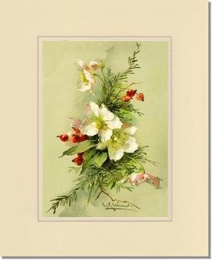Christmas Rose Vintage Print