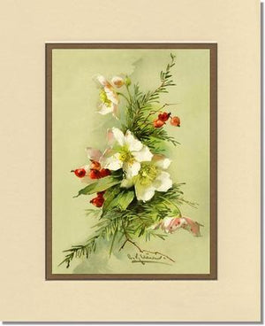 Christmas Rose Vintage Print