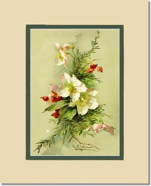 Christmas Rose Vintage Print