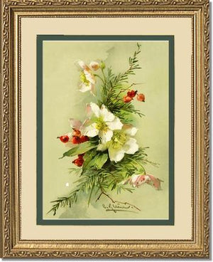 Christmas Rose Vintage Print