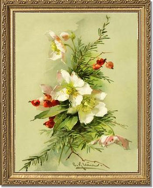 Victorian Print: Christmas Rose