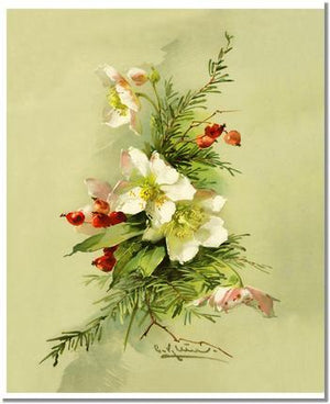 Christmas Rose Vintage Print