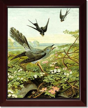 Victorian Print: Swallows