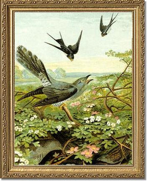 Victorian Print: Swallows