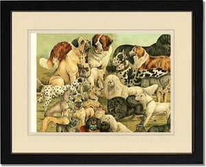 Victorian Print: Antique Dogs