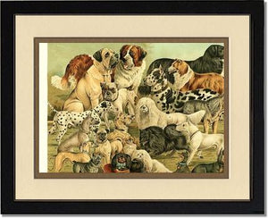 Victorian Print: Antique Dogs