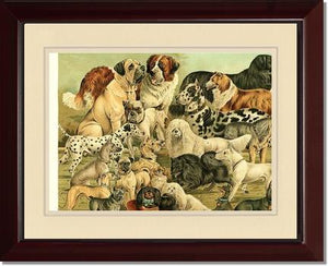 Victorian Print: Antique Dogs