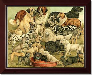 Victorian Print: Antique Dogs