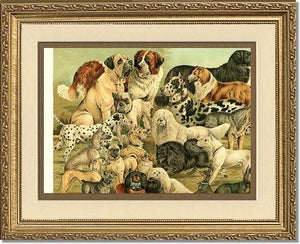 Victorian Print: Antique Dogs