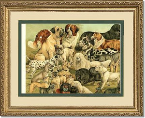 Victorian Print: Antique Dogs