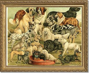 Victorian Print: Antique Dogs