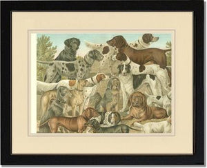 Victorian Print: Antique Dogs