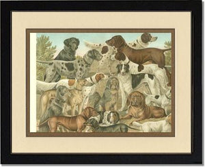 Victorian Print: Antique Dogs