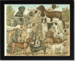 Victorian Print: Antique Dogs