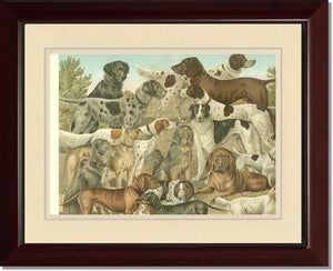 Victorian Print: Antique Dogs