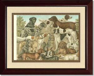 Victorian Print: Antique Dogs