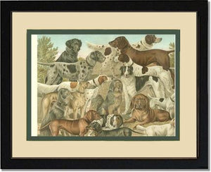 Victorian Print: Antique Dogs