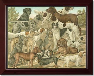 Victorian Print: Antique Dogs