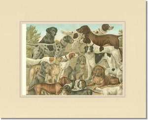 Victorian Print: Antique Dogs
