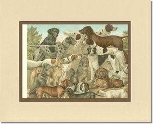 Victorian Print: Antique Dogs