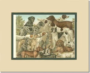 Victorian Print: Antique Dogs