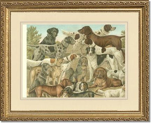Victorian Print: Antique Dogs