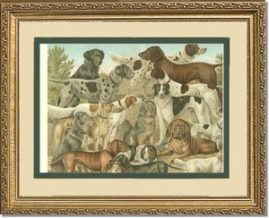 Victorian Print: Antique Dogs