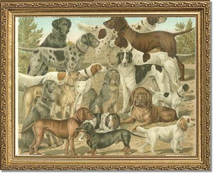 Victorian Print: Antique Dogs