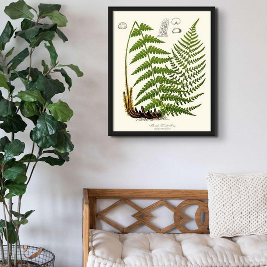 Florida Wood Fern Botanical Wall Art Print-Charting Nature