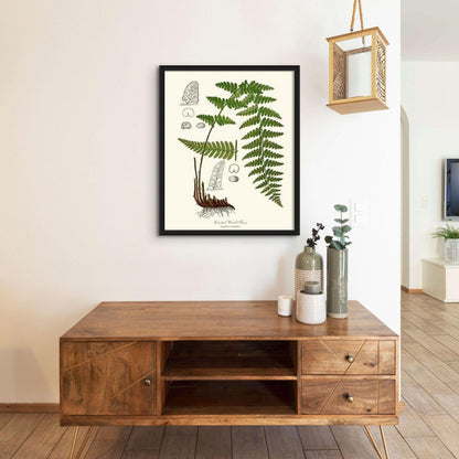 Crested Wood Fern Botanical Wall Art Print-Charting Nature
