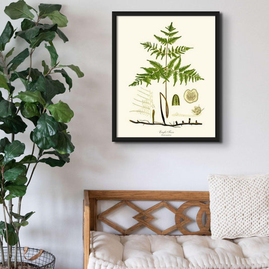 Eagle Fern Botanical Wall Art Print-Charting Nature