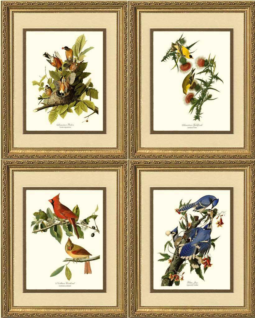 Wild Bird Wall Art Sets – Vintage Audubon Home Décor Prints