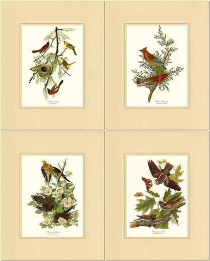 Audubon Set of 4 Matching Bird Prints. Brown Theme. - Charting Nature
