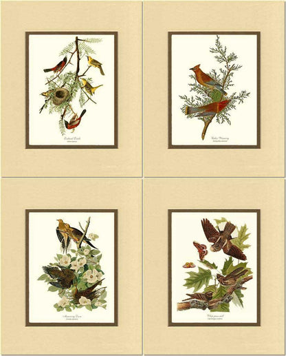 Audubon Set of 4 Matching Bird Prints. Brown Theme. - Charting Nature