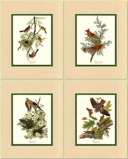 Audubon Set of 4 Matching Bird Prints. Brown Theme. - Charting Nature