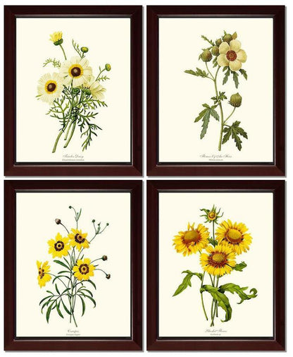 Vintage Yellow Flower Botanical Print Set