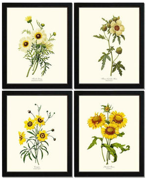 Vintage Yellow Flower Botanical Print Set