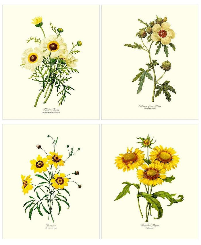 Yellow Flower Print Set