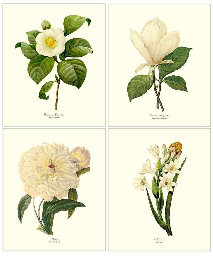 White Botanical Flower Prints Set - 4 Prints