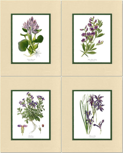 Lavender Flower Botanical Print Set - Charting Nature