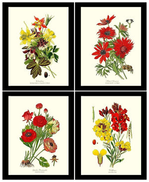 Red Garden Flower Botanical Set | Vintage Wall Art Decor - Charting Nature