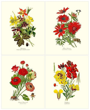 Flower Floral Print: Set of 4 spring garden flowers