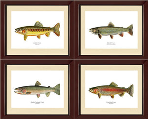 Vintage Trout Fish Prints Set - Charting Nature