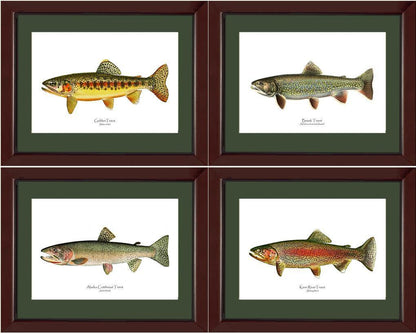 Vintage Trout Fish Prints Set - Charting Nature