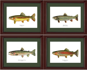 Vintage Trout Fish Prints Set - Charting Nature