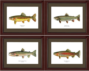 Vintage Trout Fish Prints Set - Charting Nature